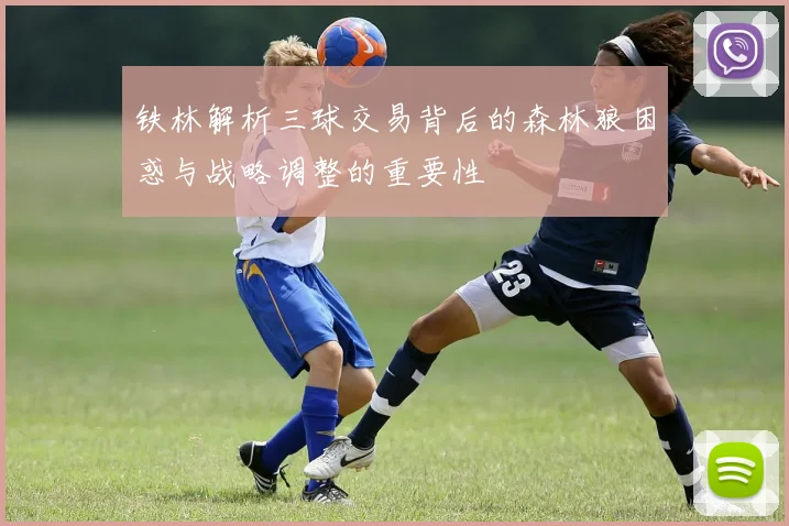 铁林解析三球交易背后的森林狼困惑与战略调整的重要性