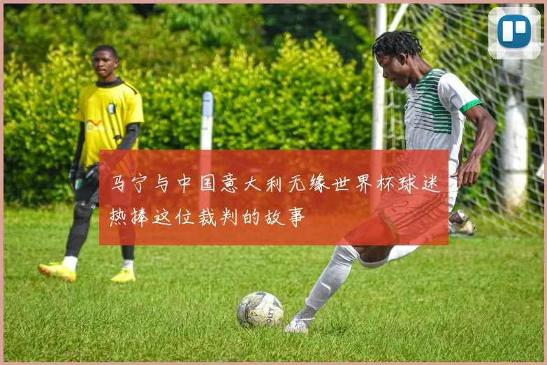 马宁与中国意大利无缘世界杯球迷热捧这位裁判的故事