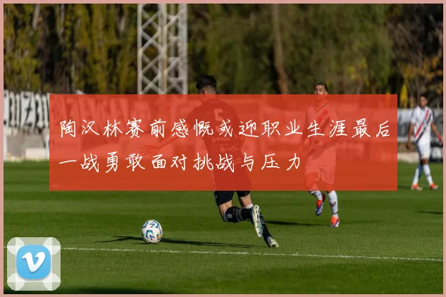 陶汉林赛前感慨或迎职业生涯最后一战勇敢面对挑战与压力